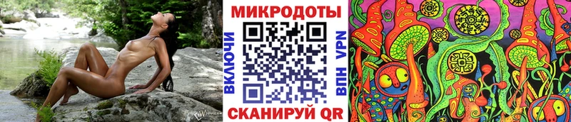где купить наркоту  Алупка  Псилоцибиновые грибы Psilocybine cubensis 